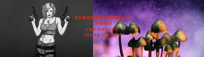 Галлюциногенные грибы Magic Shrooms  Владикавказ 